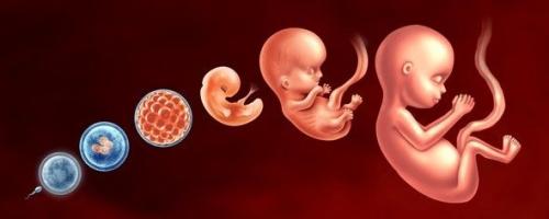 Εμβρυομητρική Σούκα Πιλάλης Προγεννητικός Έλεγχος Αθήνα