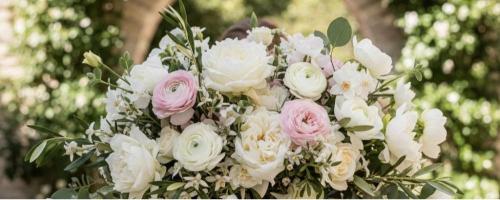 Εντελβάις Ανθοπωλείο Τήνος